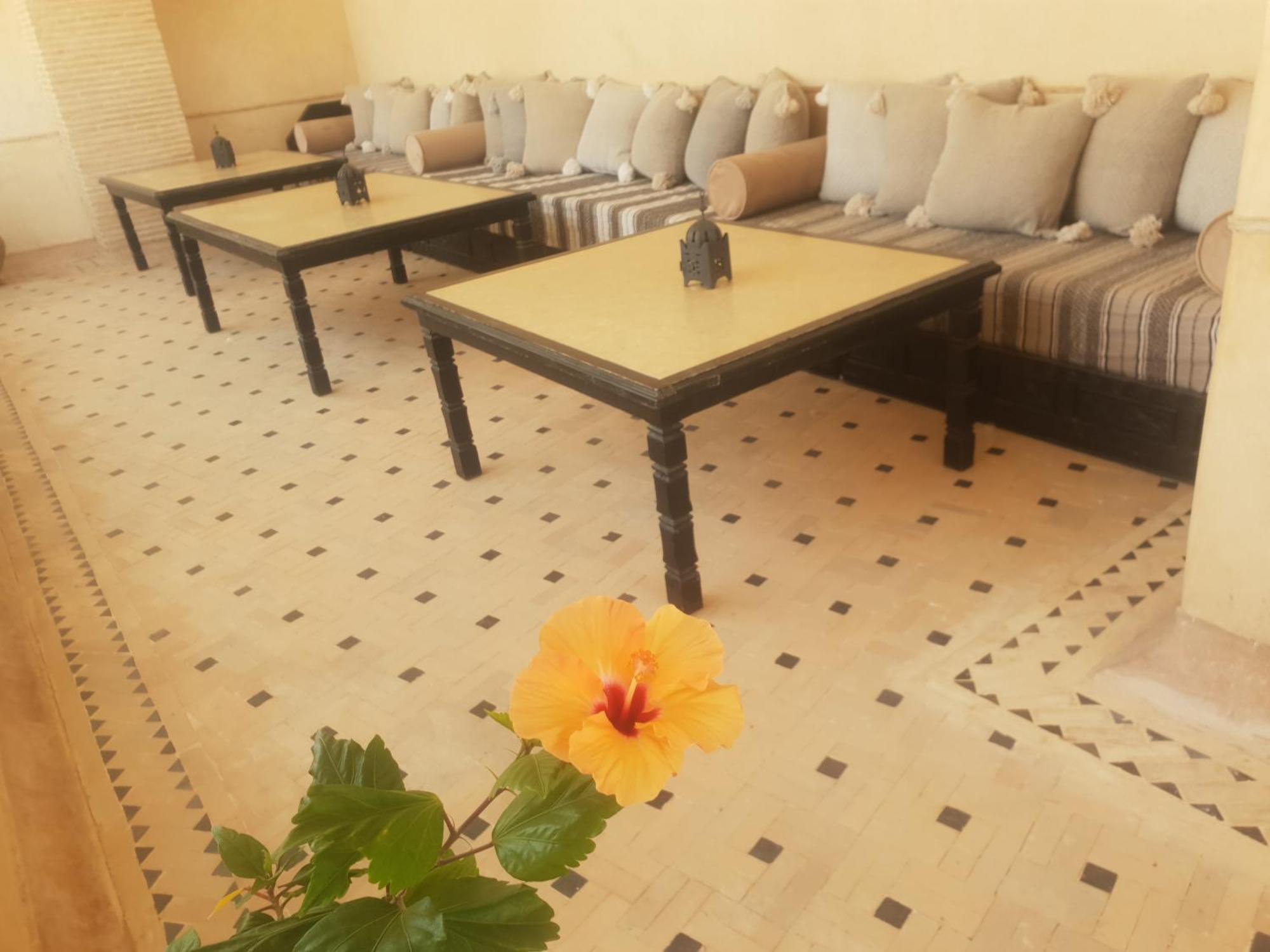 Riad Dar Haven Tamraght エクステリア 写真